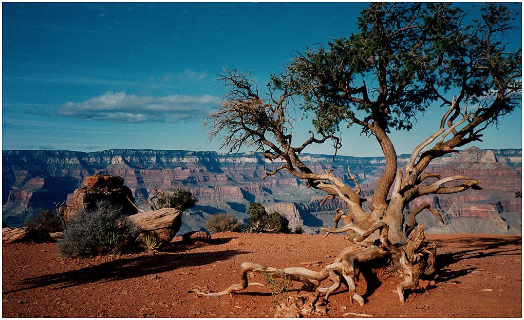 Grand Canyon 1992